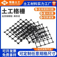 土工格栅厂家 路基塑料土工格栅支护网 矿用双向拉伸塑料 土工格栅