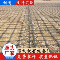 双向土工格栅厂家河道护坡网钢塑公路路基加筋格栅网批发源头厂家