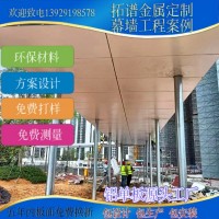 厂家直供转印木纹铝单板外墙建筑铝单板建筑幕墙工程项目案例